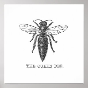 Queen Bee Illustration Kryp Insekt Poster