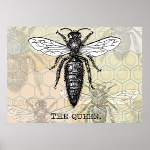 Queen Bee Illustration Kryp Insekt Poster