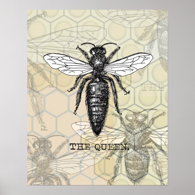 Queen Bee Illustration Kryp Insekt Poster (Framsidan)