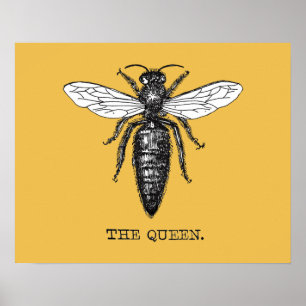 Queen Bee Illustration Kryp Insekt Poster