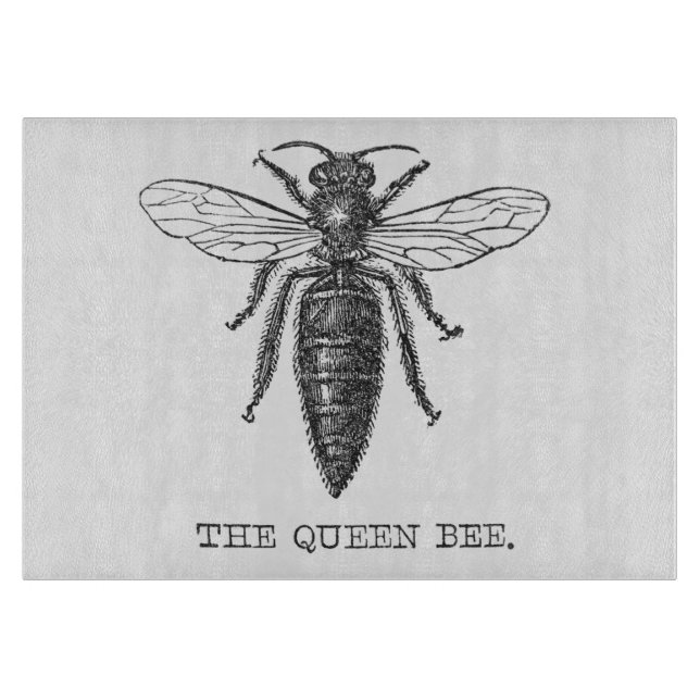 Queen Bee Kryp Insekt Antique Illustration (Framsidan)