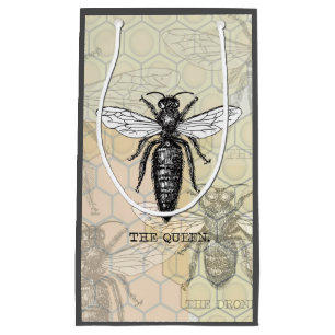 Queen Bee Kryp Insekt Antique Illustration