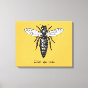 Queen Bee Kryp Insekt Antique Illustration Canvastryck