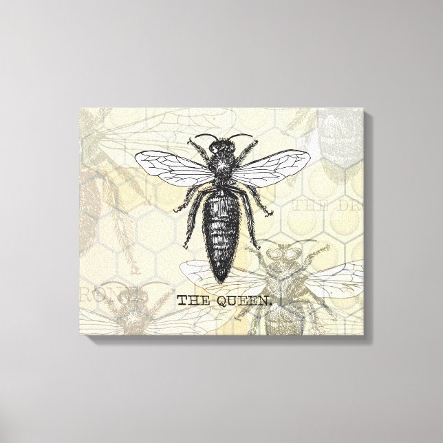 Queen Bee Kryp Insekt Antique Illustration Canvastryck (Framsida)