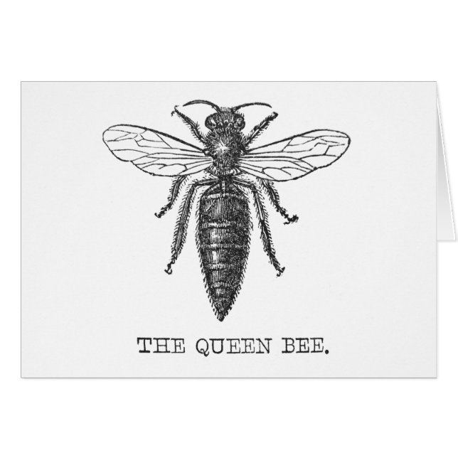 Queen Bee Kryp Insekt Antique Illustration Hälsningskort (Framsidan Horizontal)