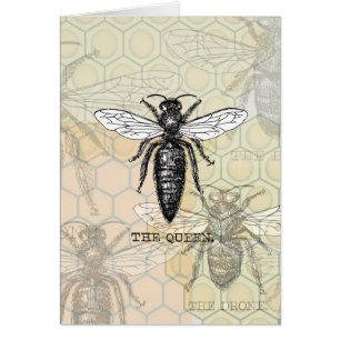 Queen Bee Kryp Insekt Antique Illustration Hälsningskort