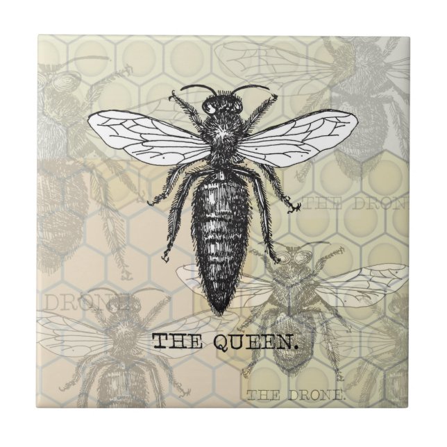 Queen Bee Kryp Insekt Antique Illustration Kakelplatta (Framsidan)