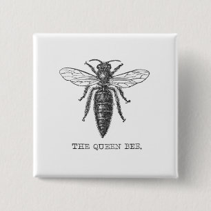 Queen Bee Kryp Insekt Antique Illustration Knapp