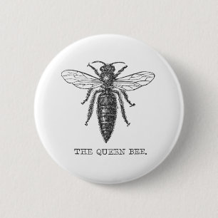 Queen Bee Kryp Insekt Antique Illustration Knapp