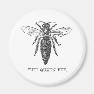 Queen Bee Kryp Insekt Antique Illustration Magnet