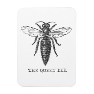 Queen Bee Kryp Insekt Antique Illustration Magnet