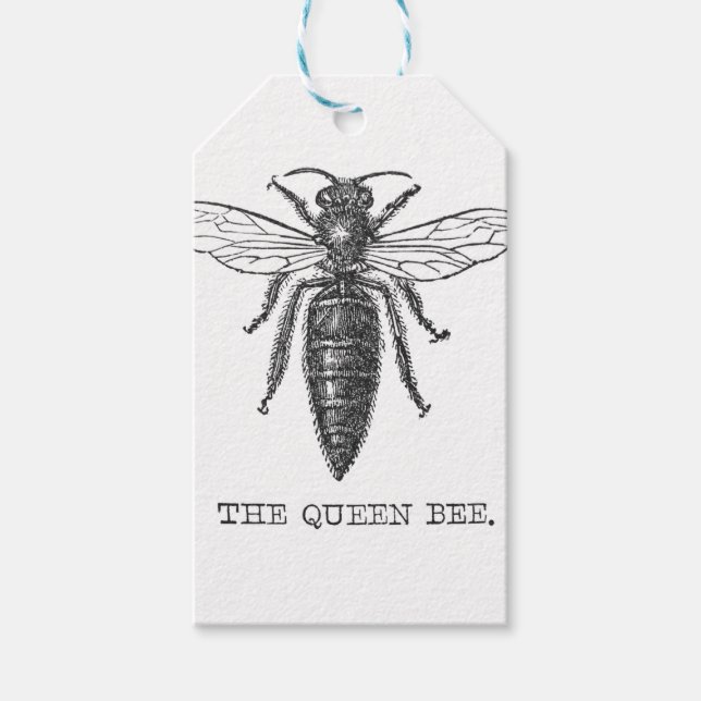 Queen Bee Kryp Insekt Antique Illustration Presentetikett (Framsidan)