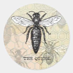 Queen Bee Kryp Insekt Antique Illustration Runt Klistermärke