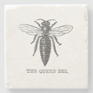 Queen Bee Kryp Insekt Antique Illustration Stenunderlägg