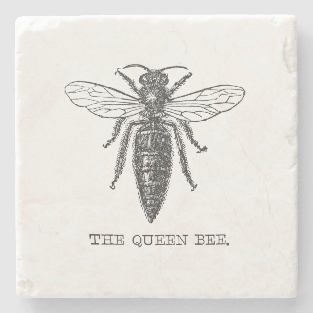 Queen Bee Kryp Insekt Antique Illustration Stenunderlägg (Framsidan)