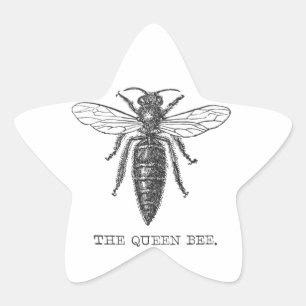 Queen Bee Kryp Insekt Antique Illustration Stjärnformat Klistermärke
