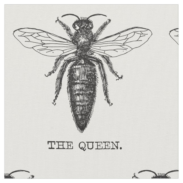Queen Bee Kryp Insekt Antique Illustration Tyg (Närbild)