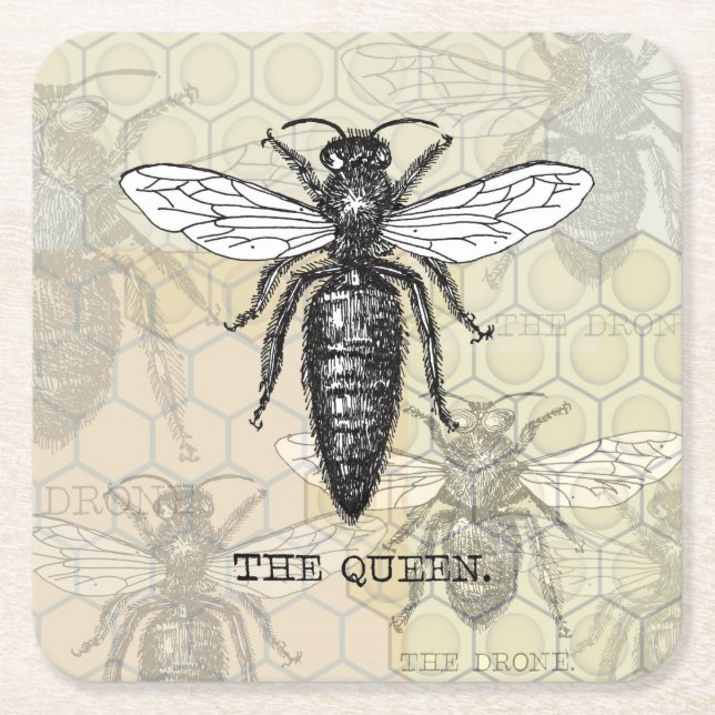 Queen Bee Kryp Insekt Antique Illustration Underlägg Papper Kvadrat (Framsidan)