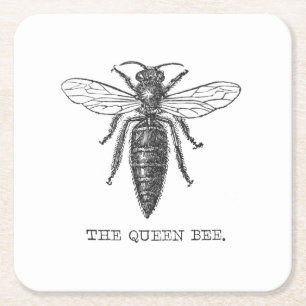 Queen Bee Kryp Insekt Antique Illustration Underlägg Papper Kvadrat