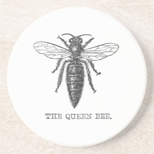 Queen Bee Kryp Insekt Antique Illustration Underlägg Sandsten