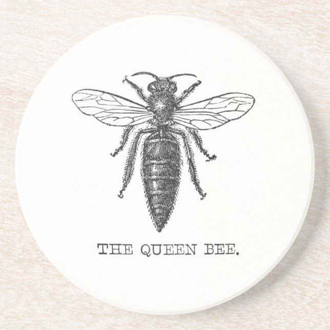 Queen Bee Kryp Insekt Antique Illustration Underlägg Sandsten (Framsidan)