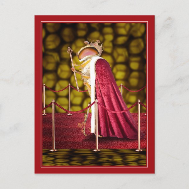 Queen Bee Vykort (Framsida)