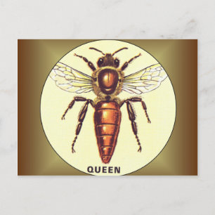 Queen Bee Vykort