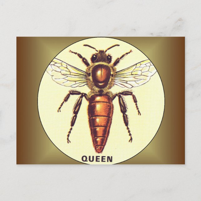 Queen Bee Vykort (Framsida)