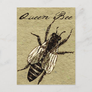 Queen Bee Wildlife Flies Kryp Insekt Vykort