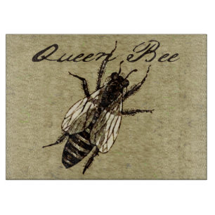 Queen Bee Wildlife Kryp Insekt