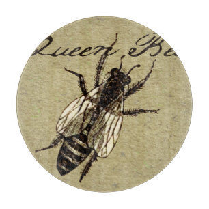 Queen Bee Wildlife Kryp Insekt