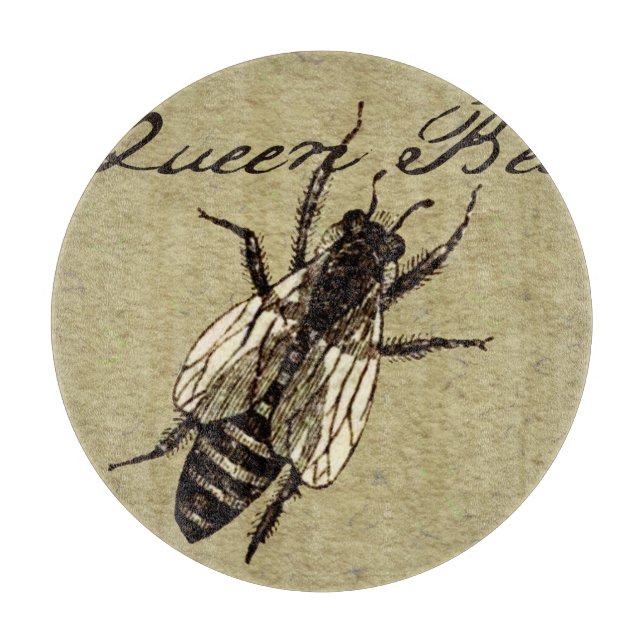 Queen Bee Wildlife Kryp Insekt (Framsidan)