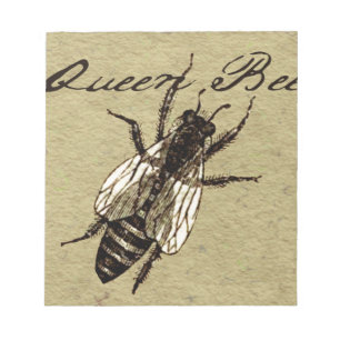 Queen Bee Wildlife Kryp Insekt Anteckningsblock