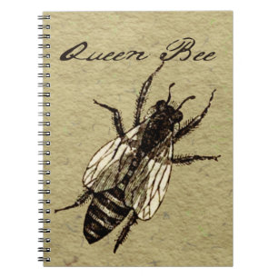 Queen Bee Wildlife Kryp Insekt Anteckningsbok Med Spiral