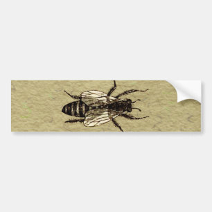 Queen Bee Wildlife Kryp Insekt Bildekal