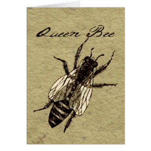 Queen Bee Wildlife Kryp Insekt Hälsningskort
