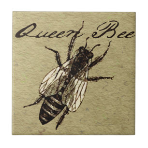 Queen Bee Wildlife Kryp Insekt Kakelplatta