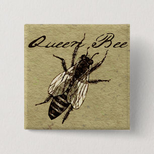 Queen Bee Wildlife Kryp Insekt Knapp