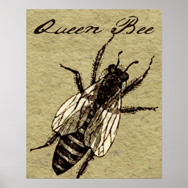 Queen Bee Wildlife Kryp Insekt Poster (Framsidan)