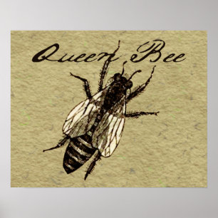Queen Bee Wildlife Kryp Insekt Poster