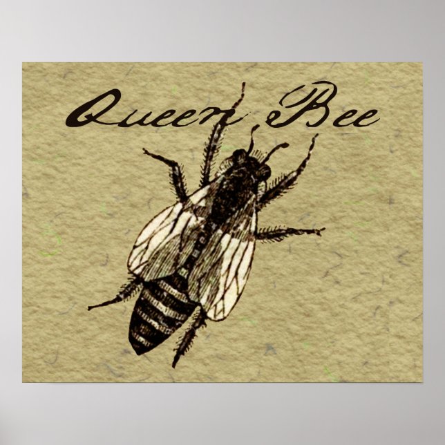 Queen Bee Wildlife Kryp Insekt Poster (Framsidan)