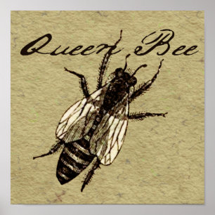 Queen Bee Wildlife Kryp Insekt Poster