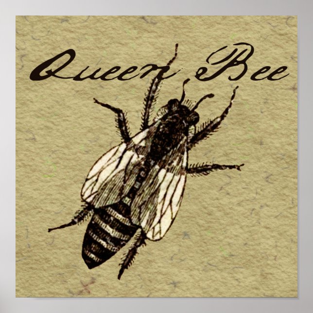 Queen Bee Wildlife Kryp Insekt Poster (Framsidan)