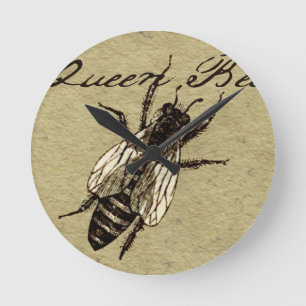 Queen Bee Wildlife Kryp Insekt Rund Klocka