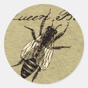 Queen Bee Wildlife Kryp Insekt Runt Klistermärke