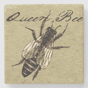 Queen Bee Wildlife Kryp Insekt Stenunderlägg