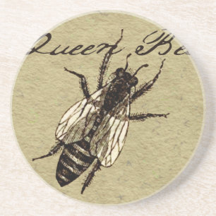 Queen Bee Wildlife Kryp Insekt Underlägg Sandsten
