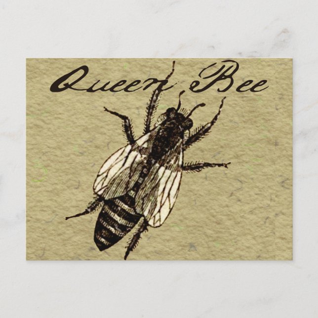 Queen Bee Wildlife Kryp Insekt Vykort (Framsida)