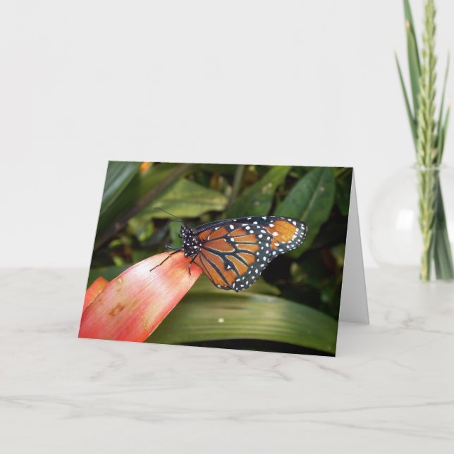 Queen Butterfly Card Kort (Framsida)