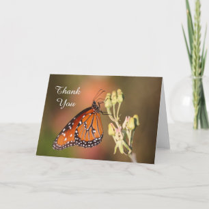 Queen Butterfly på en gren, tack Kort
